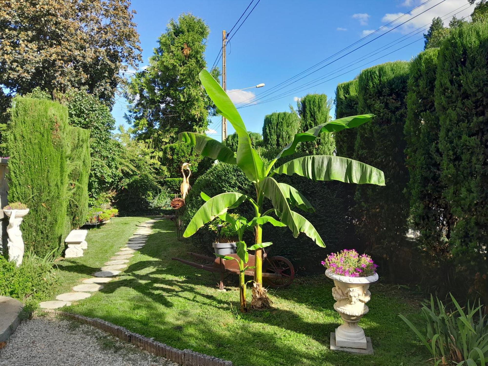 Le Madrigal Bed & Breakfast Mamers Екстериор снимка